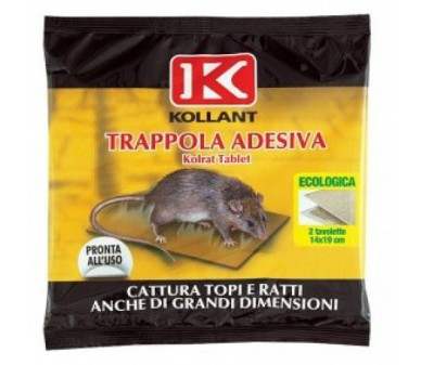 Колрат плочки – нетоксичен леплив капан за улавяне на плъхове - Бран Инсект